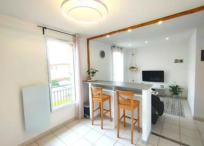 Le Cosy Wifi Clim Parking * Castelnau-dʼEstrétefonds